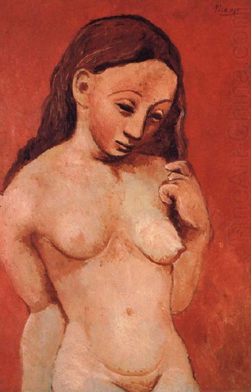 nude against a red backgroumd, pablo picasso